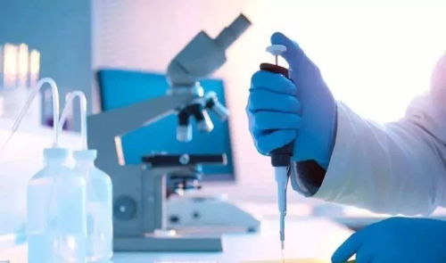 全球医疗器械市场格局与发展趋势 研发驱动下的万亿赛道